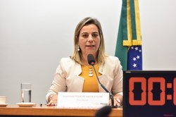Comissão de Defesa dos Direitos da Mulher elege deputada Policial Katia Sastre para presidente