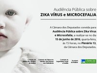 Zika vírus e Microcefalia são temas de debate em reunião conjunta