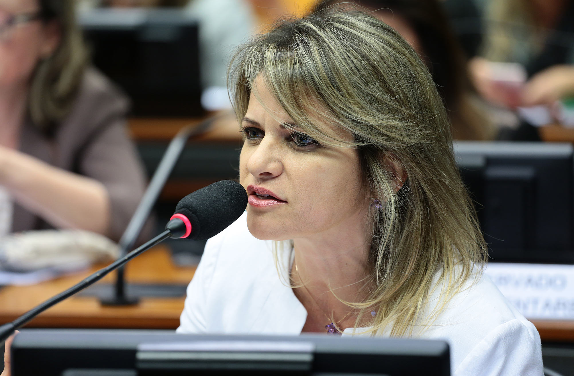 Câmara realiza sessão solene em homenagem ao Dia Internacional do Idoso