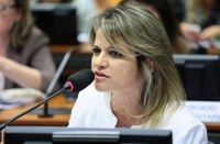 Câmara realiza sessão solene em homenagem ao Dia Internacional do Idoso