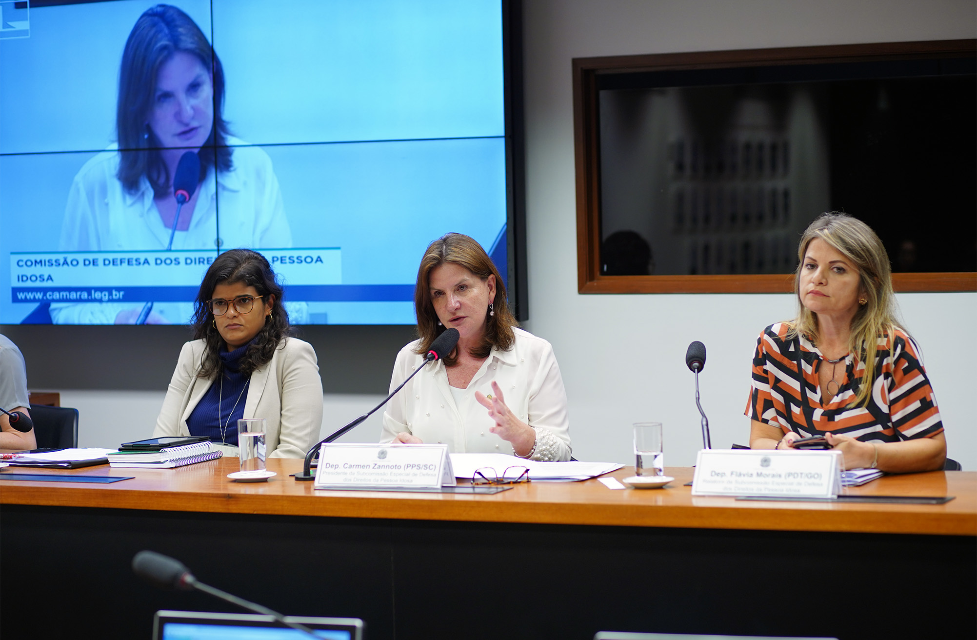 Comissão aprova relatório que sugere alterações no Estatuto do Idoso 