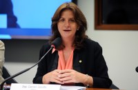Comissão discute a situação das Instituições de Longa Permanência para Idosos no Brasil