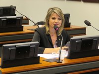 Dia Mundial de Conscientização da Violência contra a Pessoa Idosa será tema de sessão solene na Câmara Federal