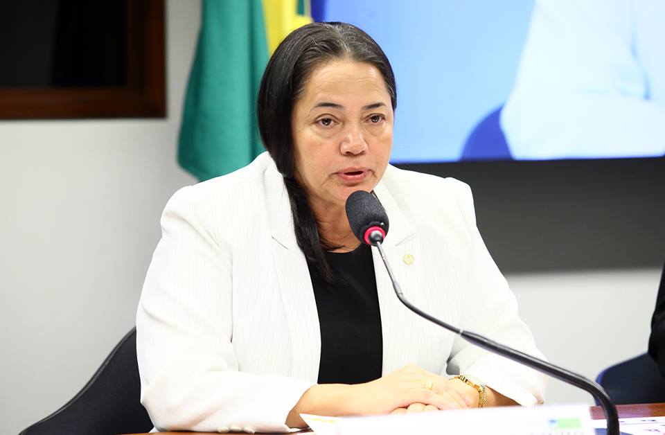 Júlia Marinho é eleita presidente da Comissão de Defesa dos Direitos da Pessoa Idosa