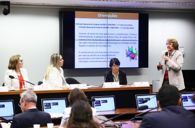 Sra. Maria Inez Pordeus Gadelha, Diretora do Departamento de Atenção Especializada e Temática do Ministério da Saúde.