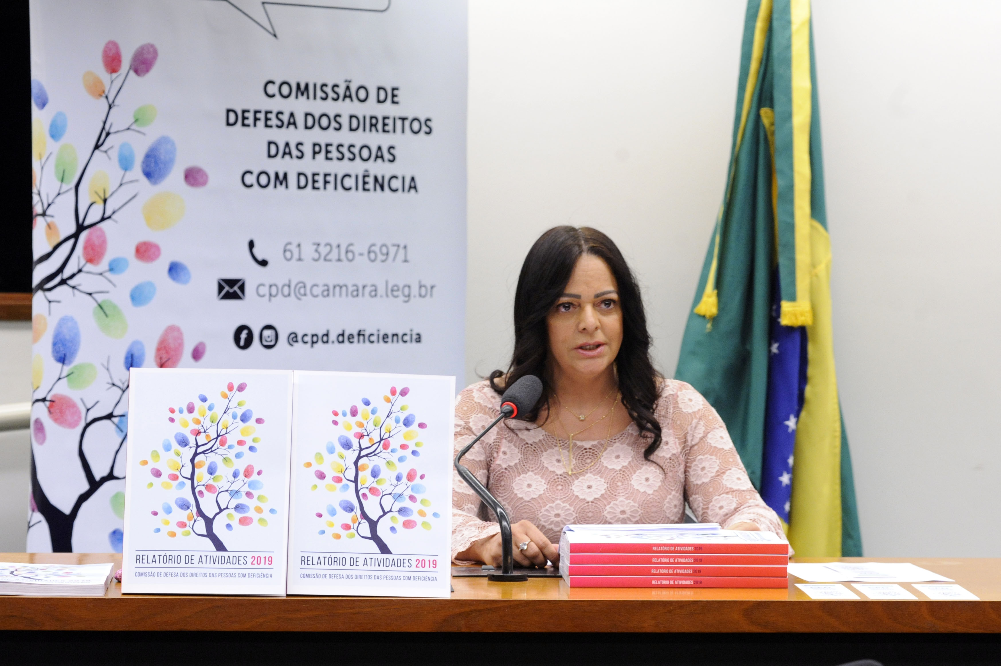 Comissão apresenta à sociedade o trabalho realizado durante o ano de 2019