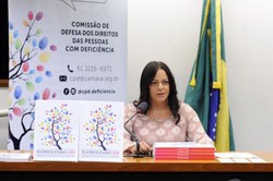 Comissão apresenta à sociedade o trabalho realizado durante o ano de 2019