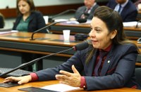 Comissão aprova atendimento especial para aluno com deficiência que não pode ir à escola