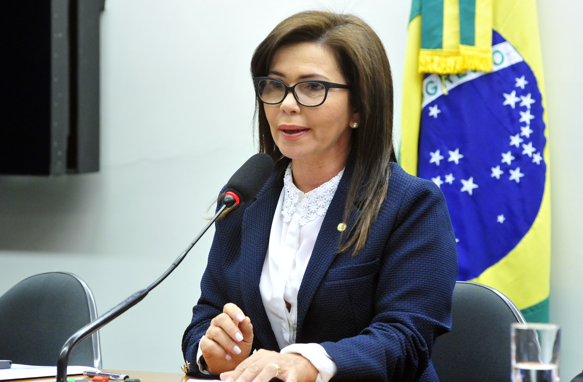 Comissão aprova obrigação de 5% de carrinho de compra adaptado para cadeirante