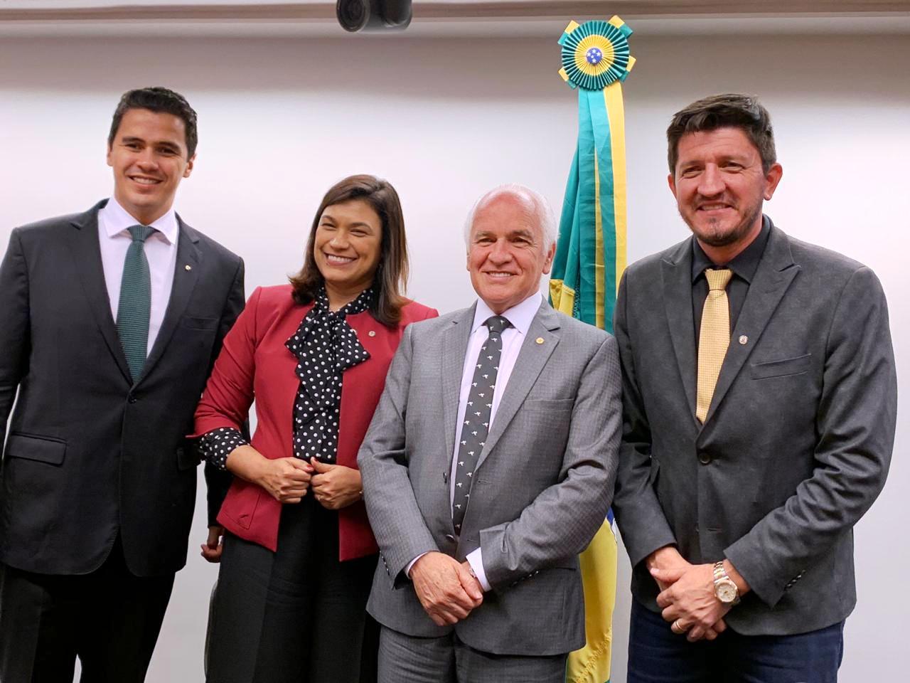 Comissão elege seus Vice-Presidentes