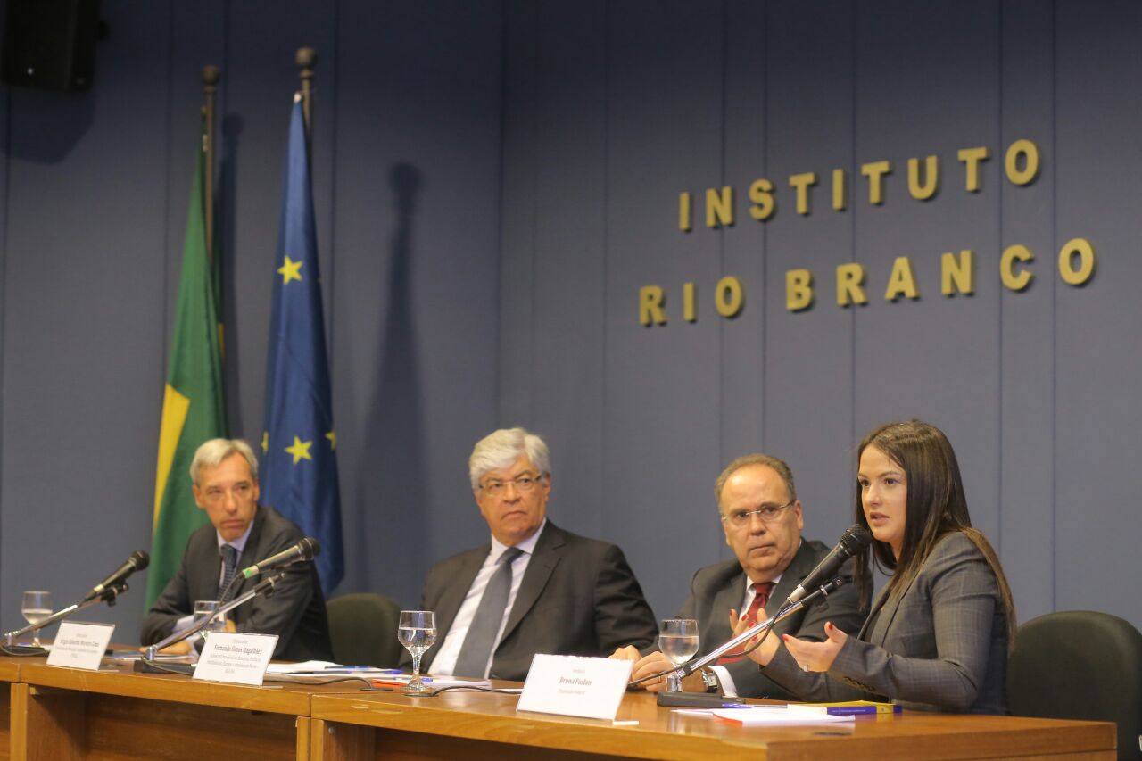 Bruna Furlan destaca sintonia entre CREDN e União Europeia em lançamento de livro 