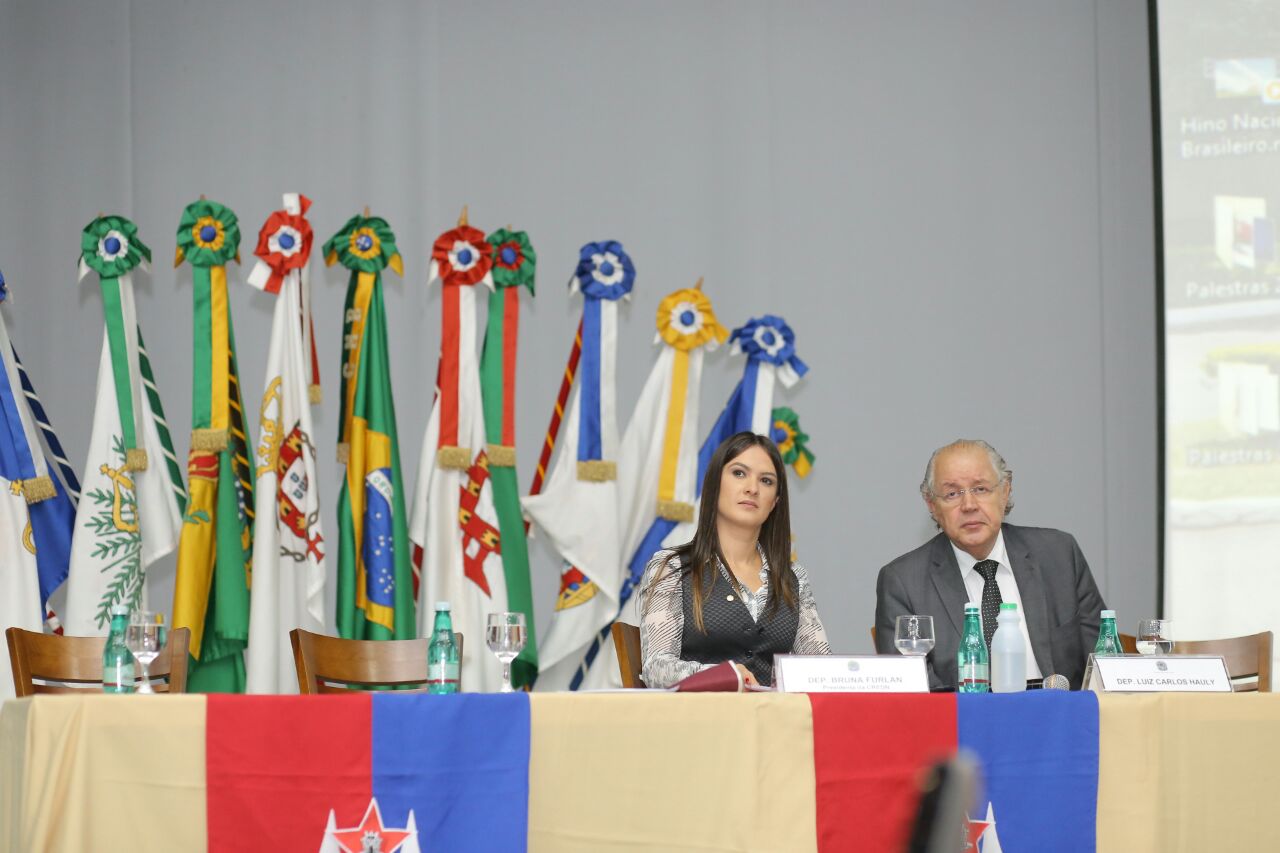 Bruna Furlan e Luiz Carlos Hauly destacam atuação da CREDN nos temas da Defesa Nacional