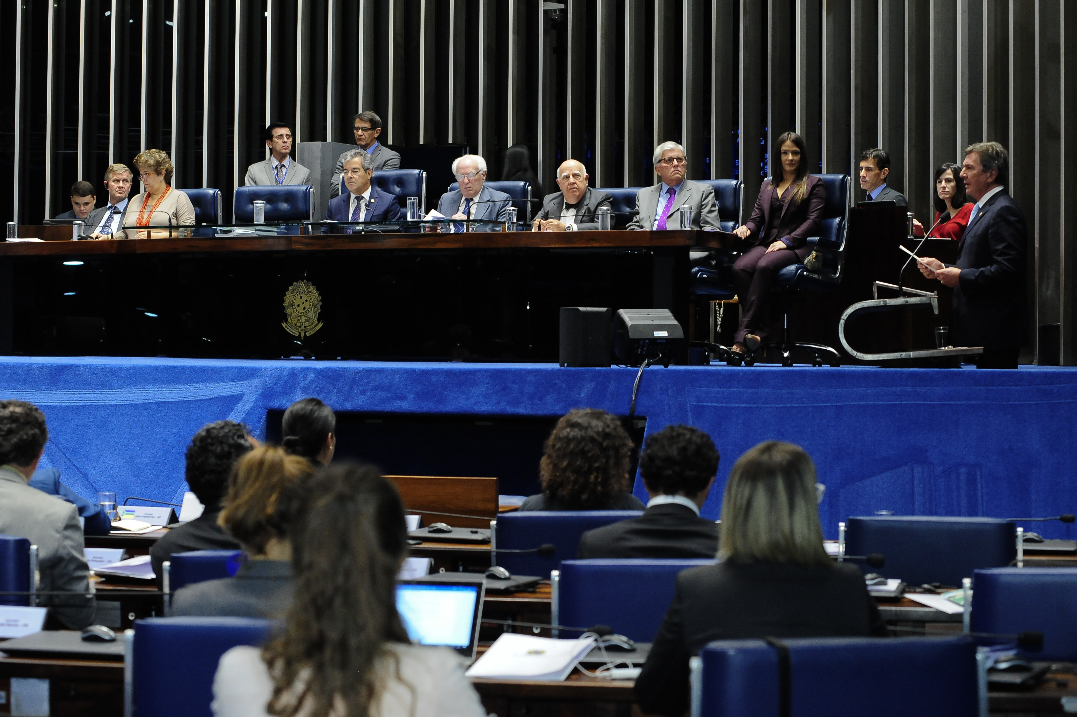 Bruna Furlan representa a CREDN em homenagem do Senado aos 25 anos da Rio 92