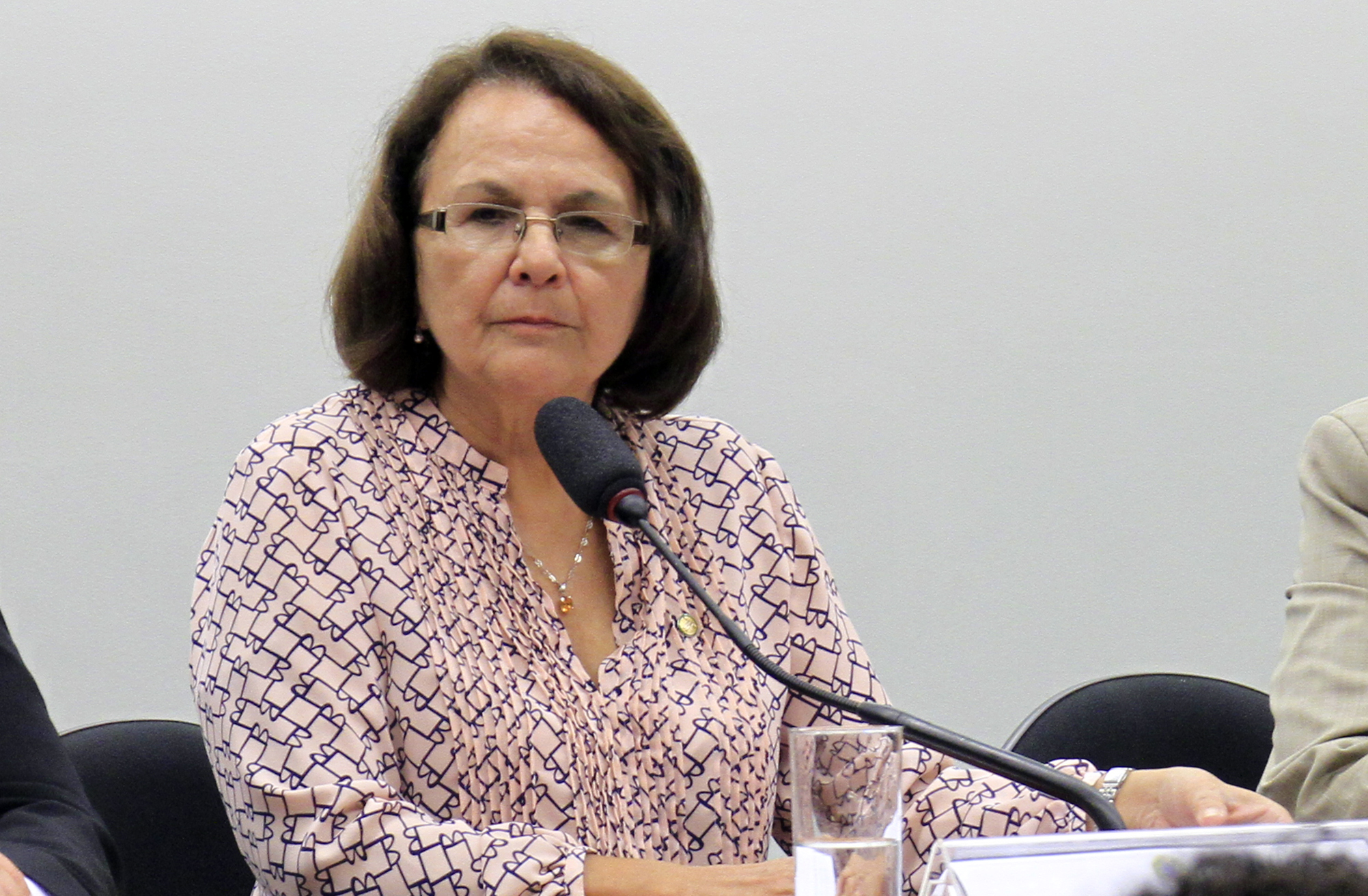 Comissão de Relações Exteriores e Defesa Nacional aprova requerimentos nas áreas de segurança e direitos humanos