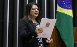 CREDN aprova Projeto de Lei que cria o Espaço da Mulher Brasileira   