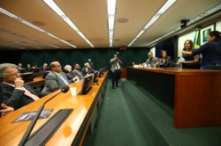 CREDN aprovará Moção de Apoio à candidatura de Mara Gabrilli para órgão da ONU