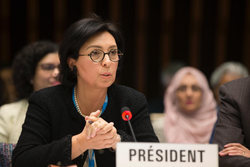 Embaixadora brasileira será convidada para discutir temas de direitos humanos na CREDN