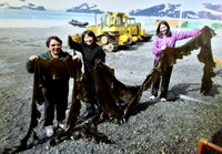 Frente Parlamentar relança apoio a Programa Antártico Brasileiro