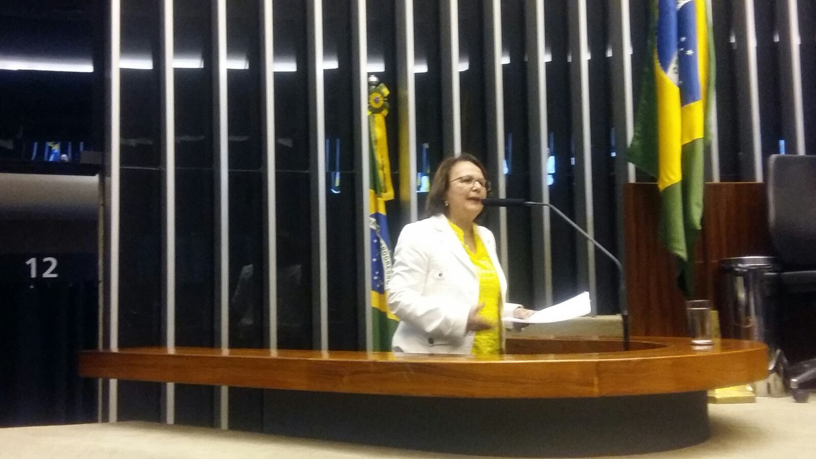 Jô Moraes fala das conquistas e desafios da Comissão ao longo de 2015