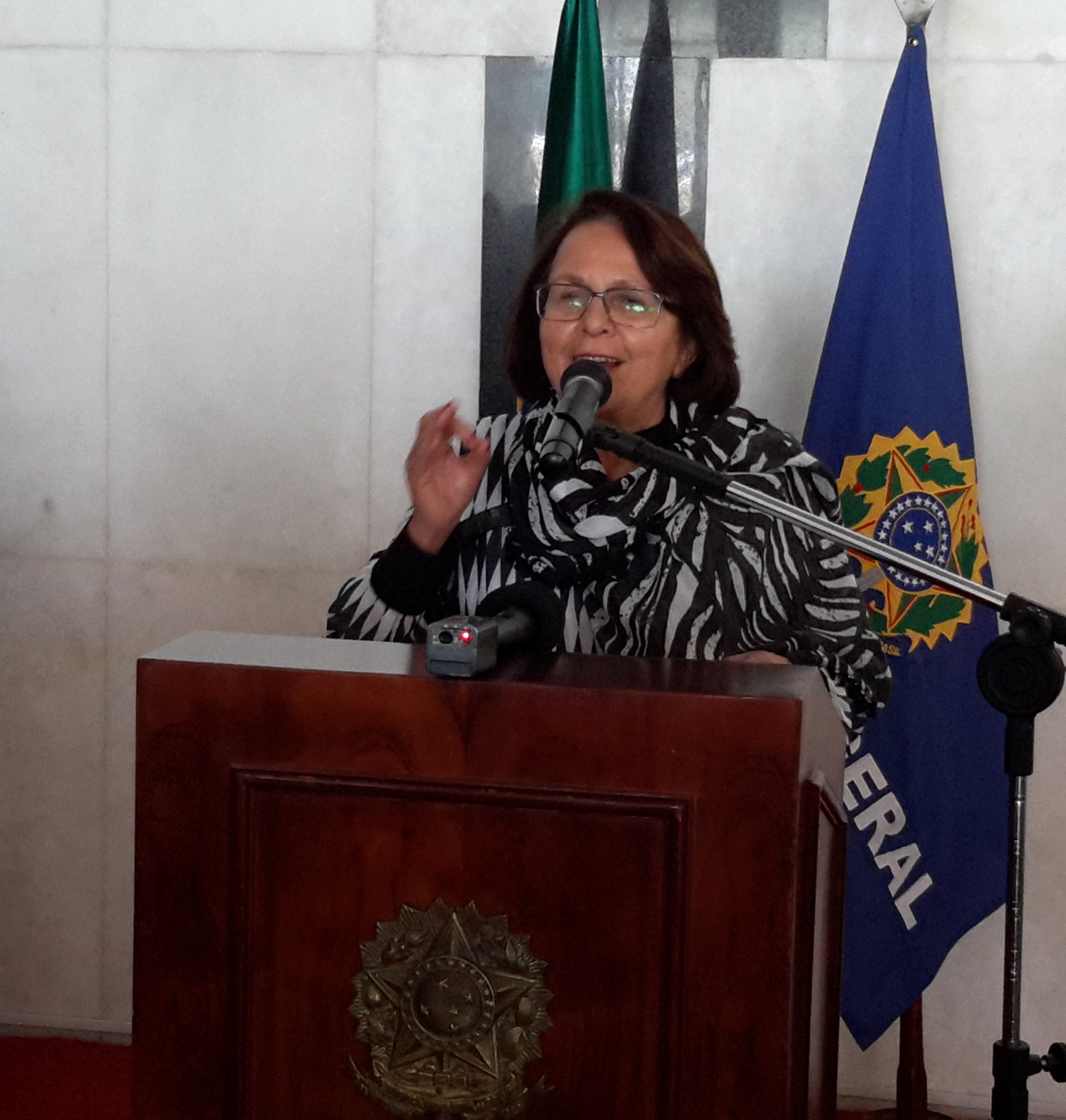 Jô Moraes inaugura exposição de artistas femininas no Senado