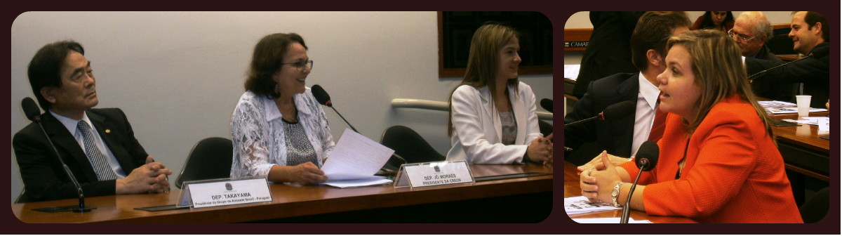 Paraguai: parlamentares visitam a Câmara e encontram-se com membros da Comissão