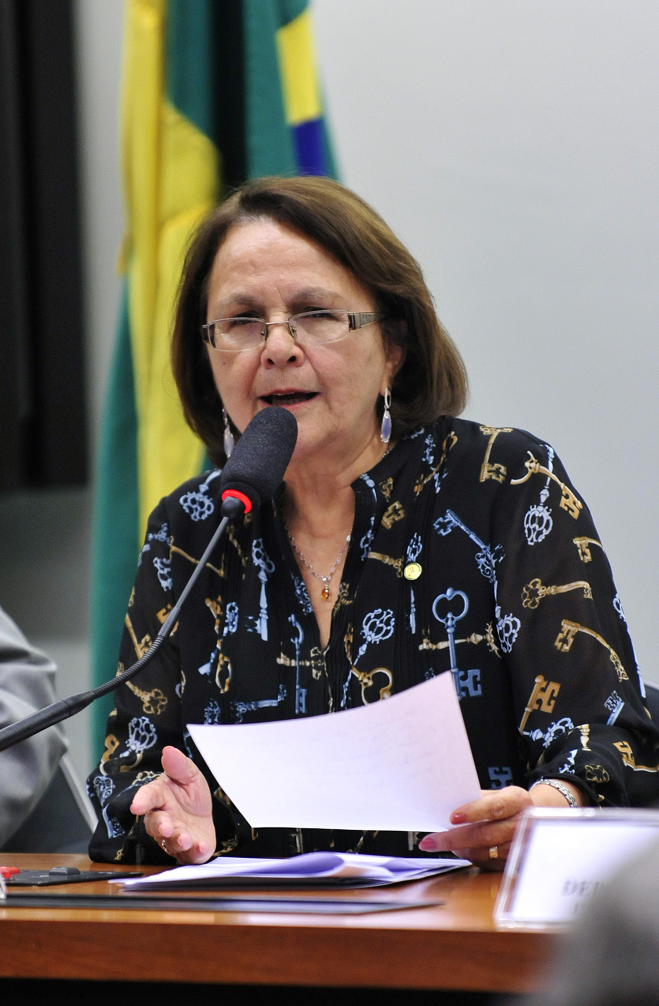 Sequestro internacional de crianças é debatido em audiência pública