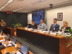 Comissão aprova parecer de PL que permite embarque armado em aeronaves civis