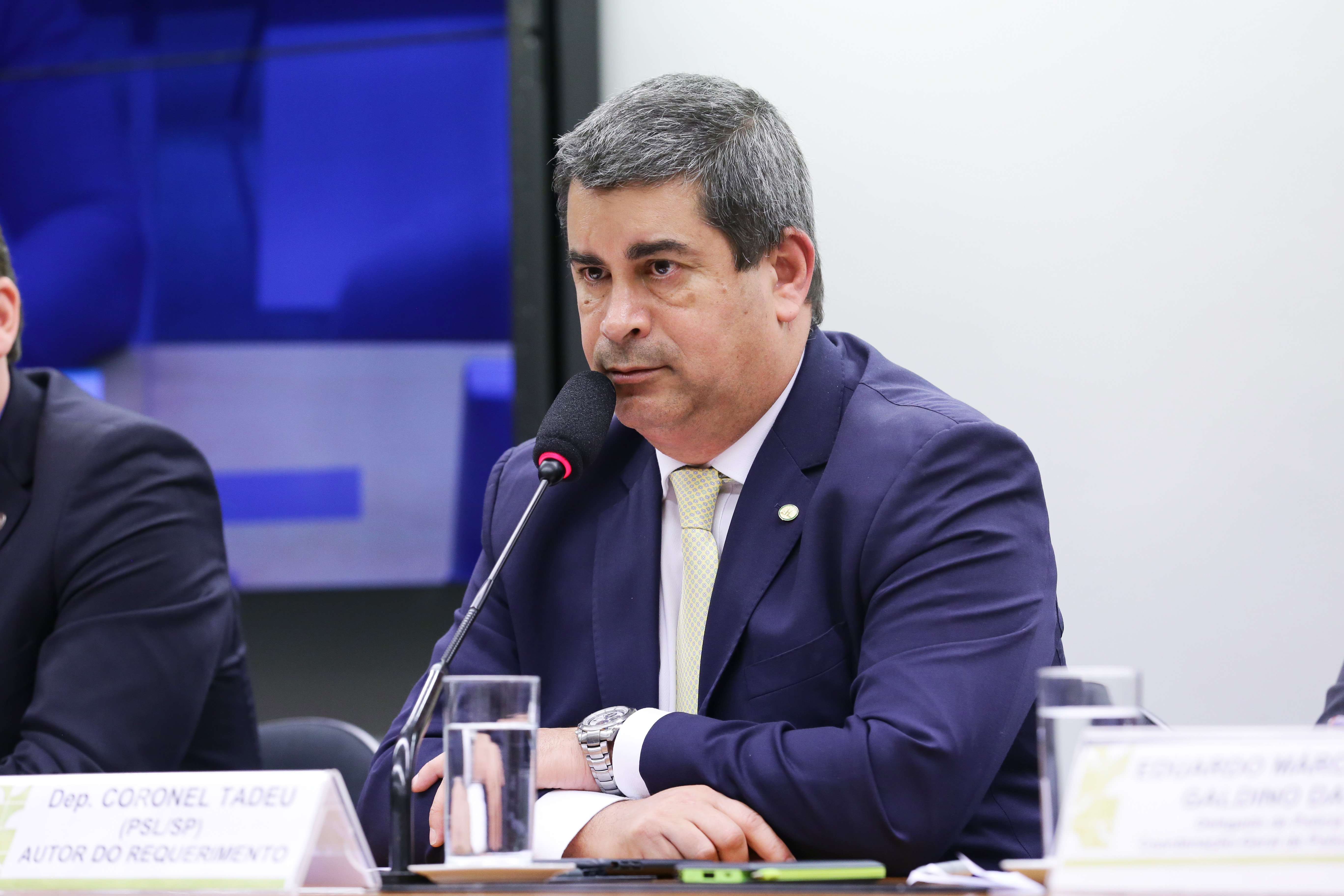 Comissão realiza Audiência Pública para debater embarque e desembarque de passageiros armados em aeronaves civis