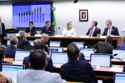 Confira como foi a Reunião Deliberativa Ordinária e a Audiência Pública realizadas nesta quarta-feira, 24/04, pela CSPCCO.