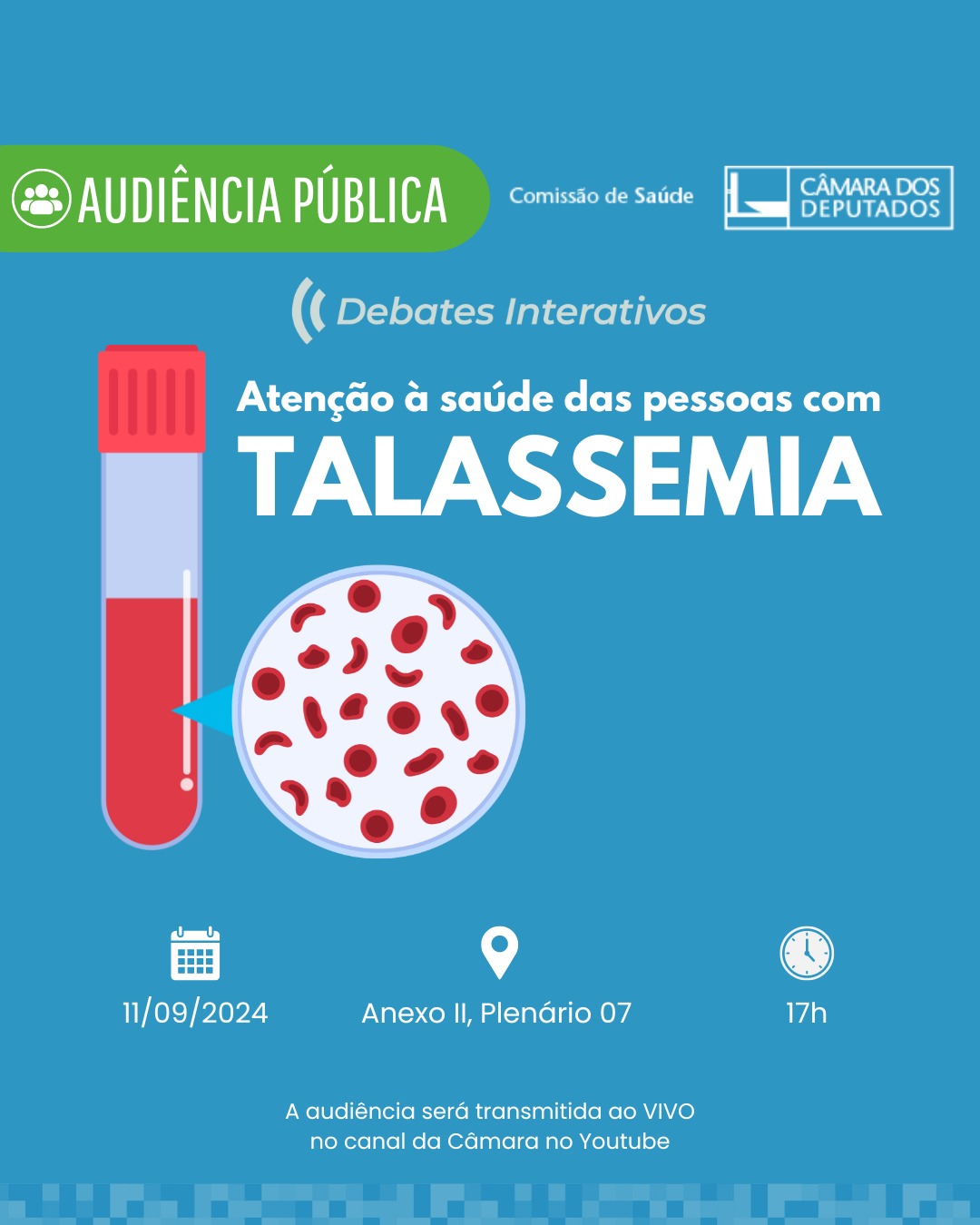 Comissão de Saúde debate a talassemia no país