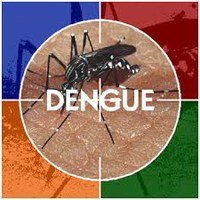 Epidemia de dengue e vacina contra a doença em debate na CSSF