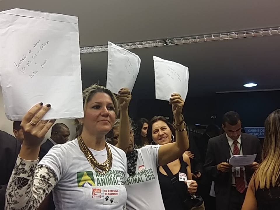  Projeto de Lei aprovado pela CSSF proíbe morte pela ‘carrocinha’