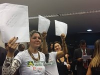  Projeto de Lei aprovado pela CSSF proíbe morte pela ‘carrocinha’