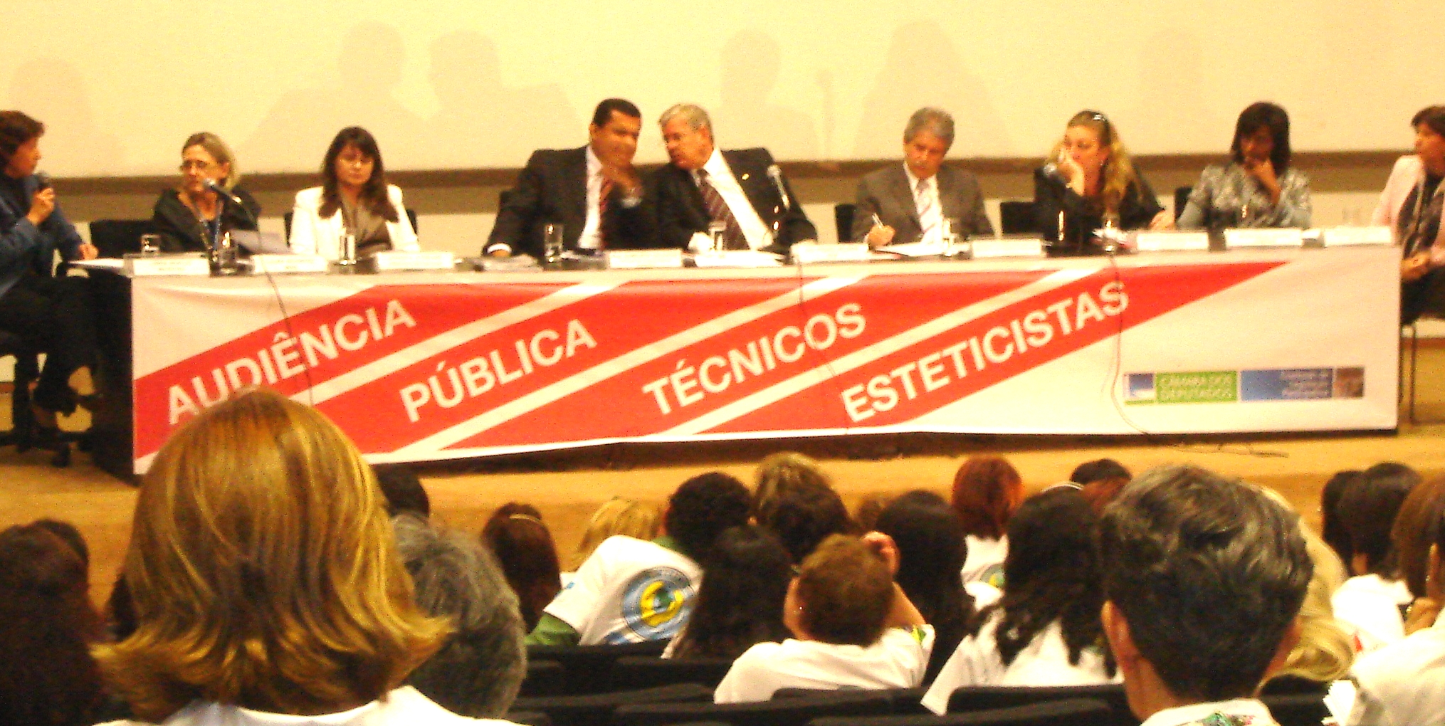 Audiência1 - esteticistas 25.08.2009