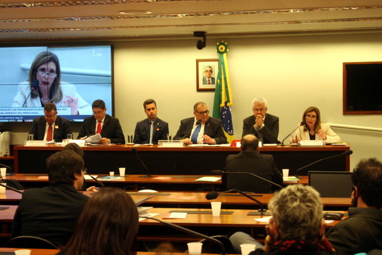 Comissão do Parlasul debate erradicação do Trabalho Infantil e Reforma Previdenciária no Brasil