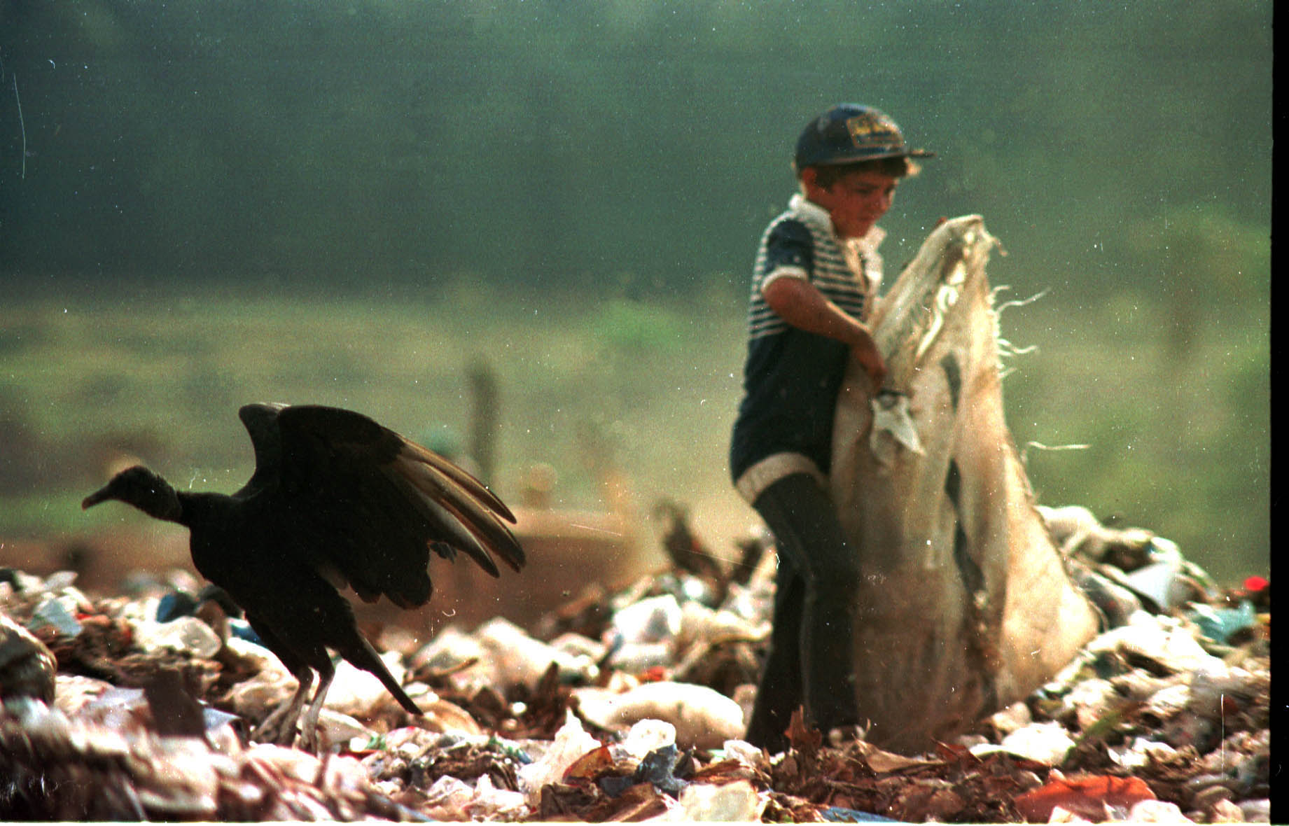 Comissões promovem seminário sobre resíduos sólidos e os desafios do setor
