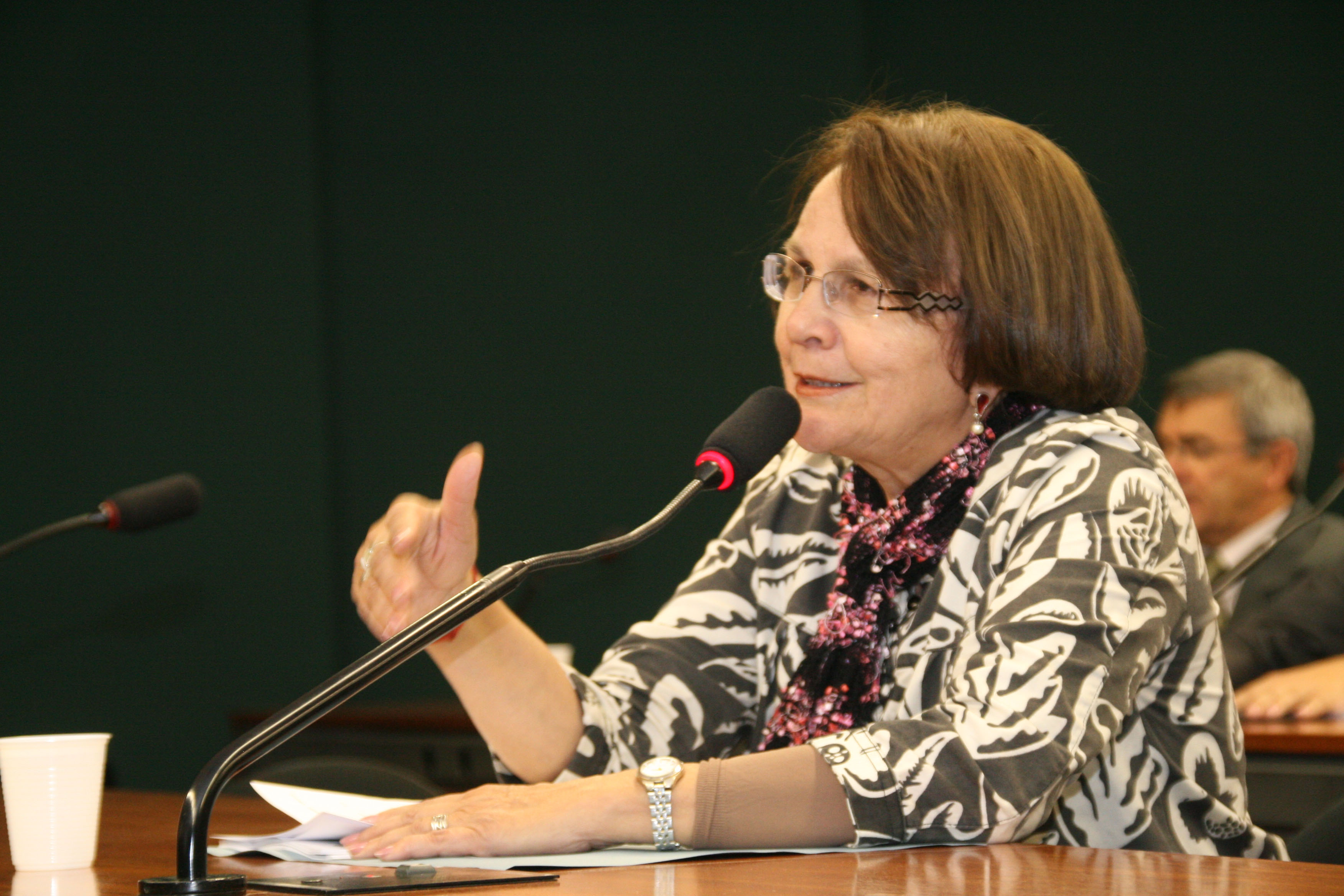 Jô Moraes: redução dos juros ajuda o turismo interno