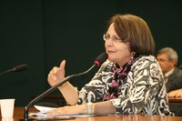 Jô Moraes: redução dos juros ajuda o turismo interno