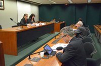 Subcomissão irá acompanhar organização dos Jogos Olímpicos e Paralímpicos