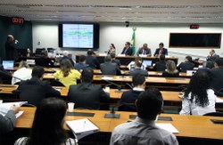 Viação e Transportes debateu cobrança por bagagem despachada em viagens aéreas