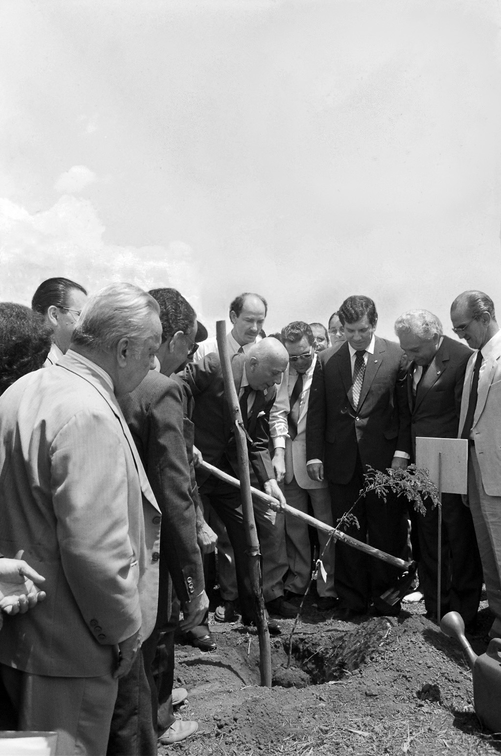 04/10/1988 Ulysses planta muda de pau-ferro cercado de parlamentares no Bosque da Constituinte