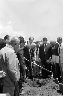 04/10/1988 Ulysses planta muda de pau-ferro cercado de parlamentares no Bosque da Constituinte