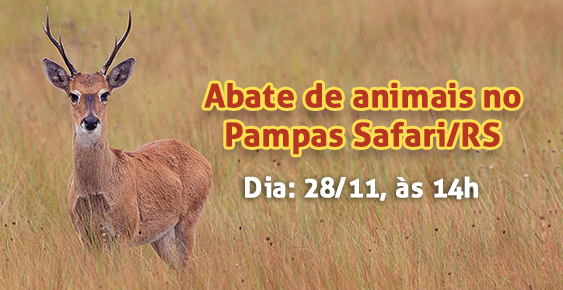 pampas safari