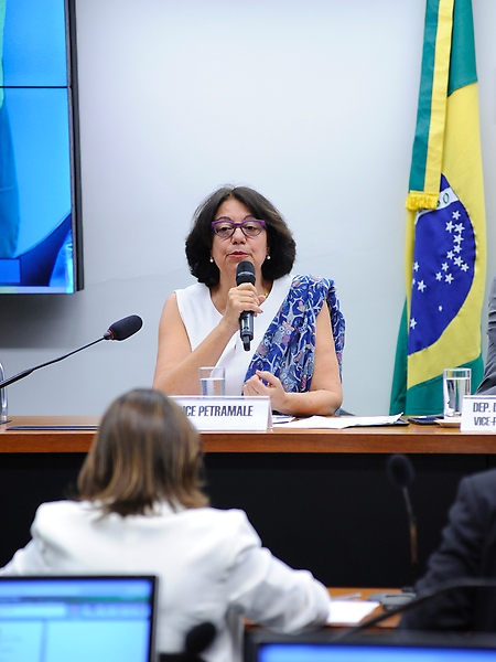 Audiência pública sobre o uso de fosfoetanolamina sintética para o tratamento do câncer. Diretora do Departamento de Gestão e Incorporação de Tecnologias em Saúde do Ministério da Saúde, Clarisse Alegre Petramale