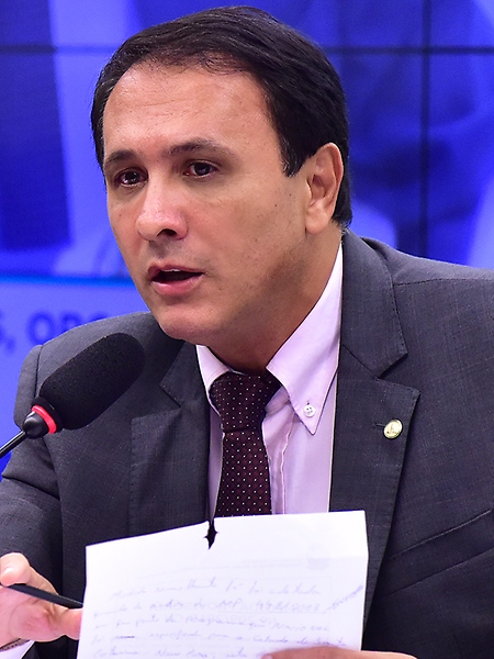 Reunião Extraordinária. Dep. Carlos Henrique Gaguim (PTN-TO)