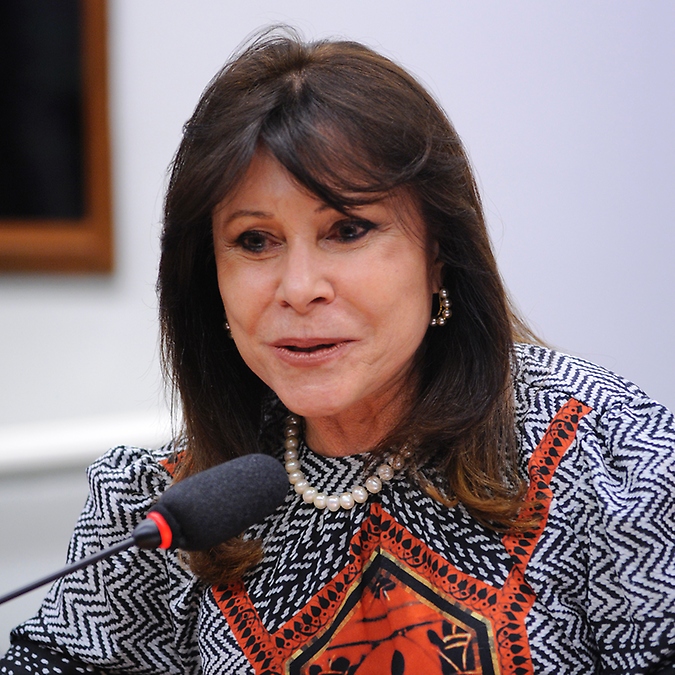 Reunião de instalação da comissão e eleição do Presidente e dos Vice-Presidentes. Dep. Maria Helena (PSB-RR)