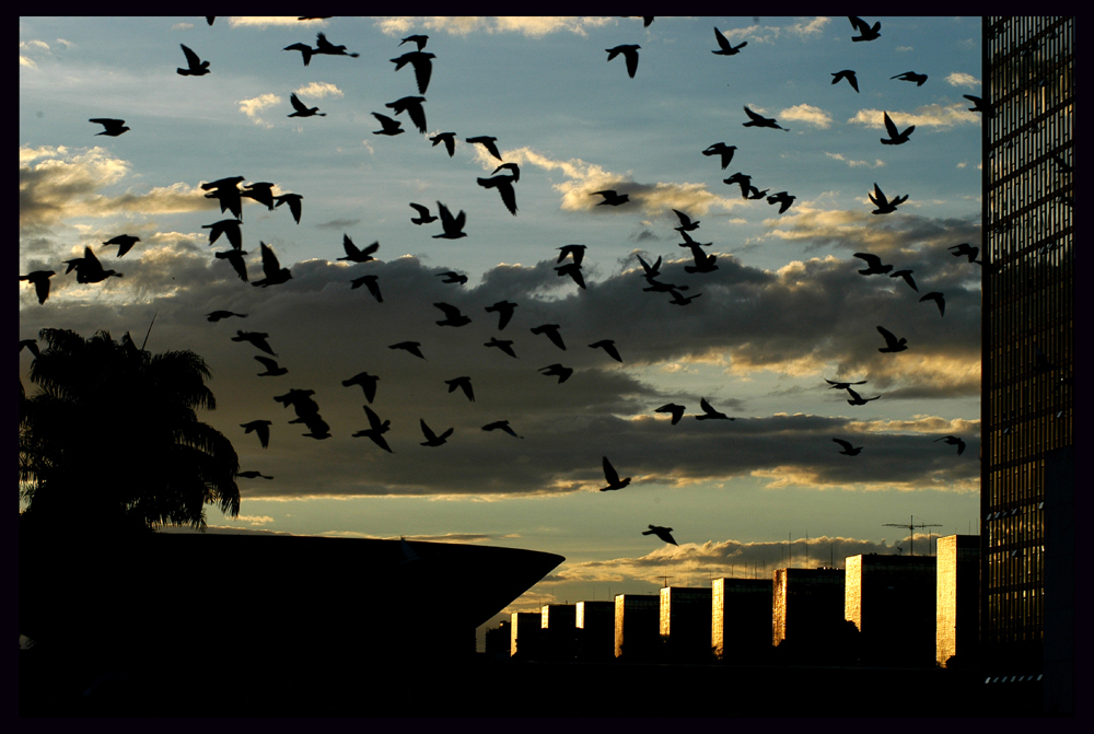 Câmara premia fotógrafos em concurso