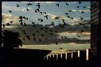 Câmara premia fotógrafos em concurso