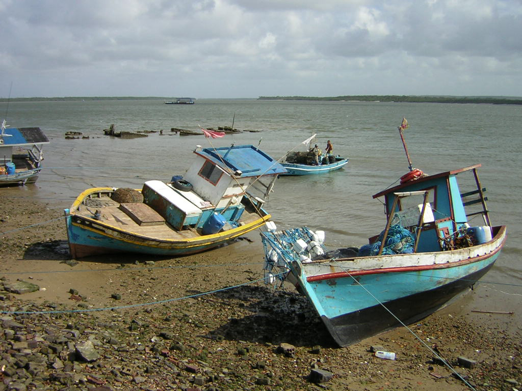 barcos atracados-Castro Júnior