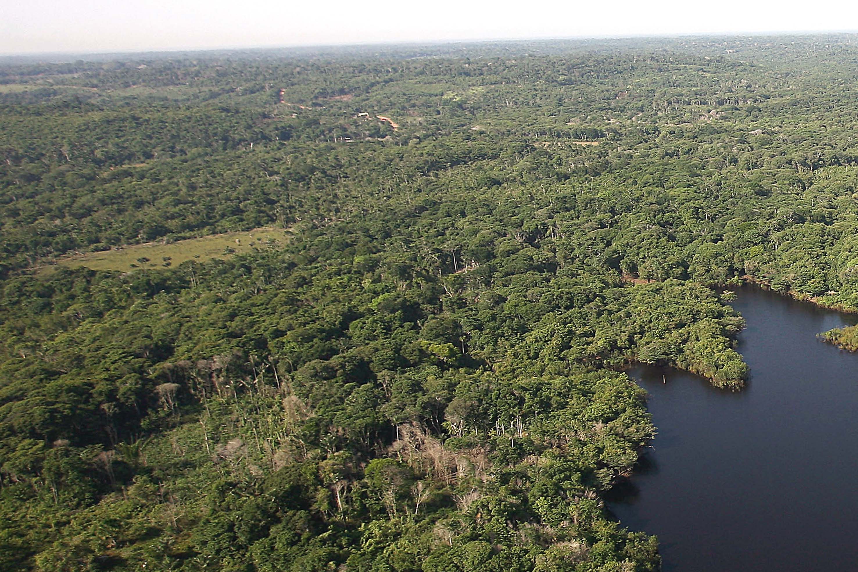 Floresta-Ricardo Stuckert